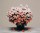 single_09th